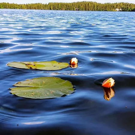Luksusteltta Omalla Uimarannalla Luxusní stan *