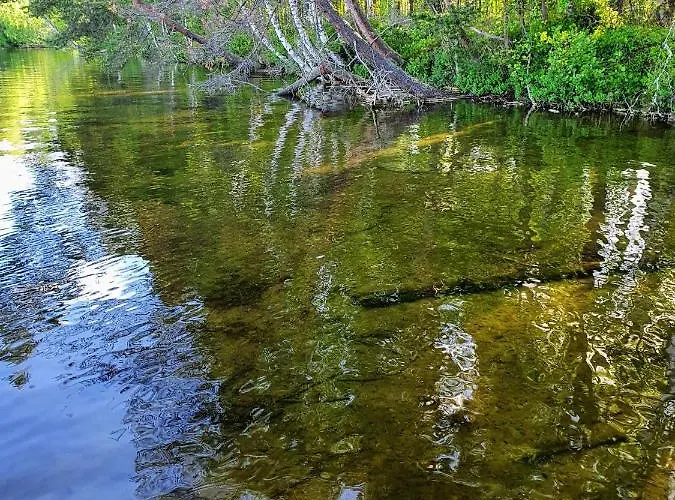 Luksusteltta Omalla Uimarannalla * Jyväskylä